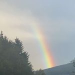 a bright rainbow in a slightly cloudy sky with a cluster of pine trees set to the left side