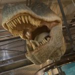 a close-up of the inside of a t-rex's mouth and teeth