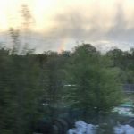 parables and golf in the forest
