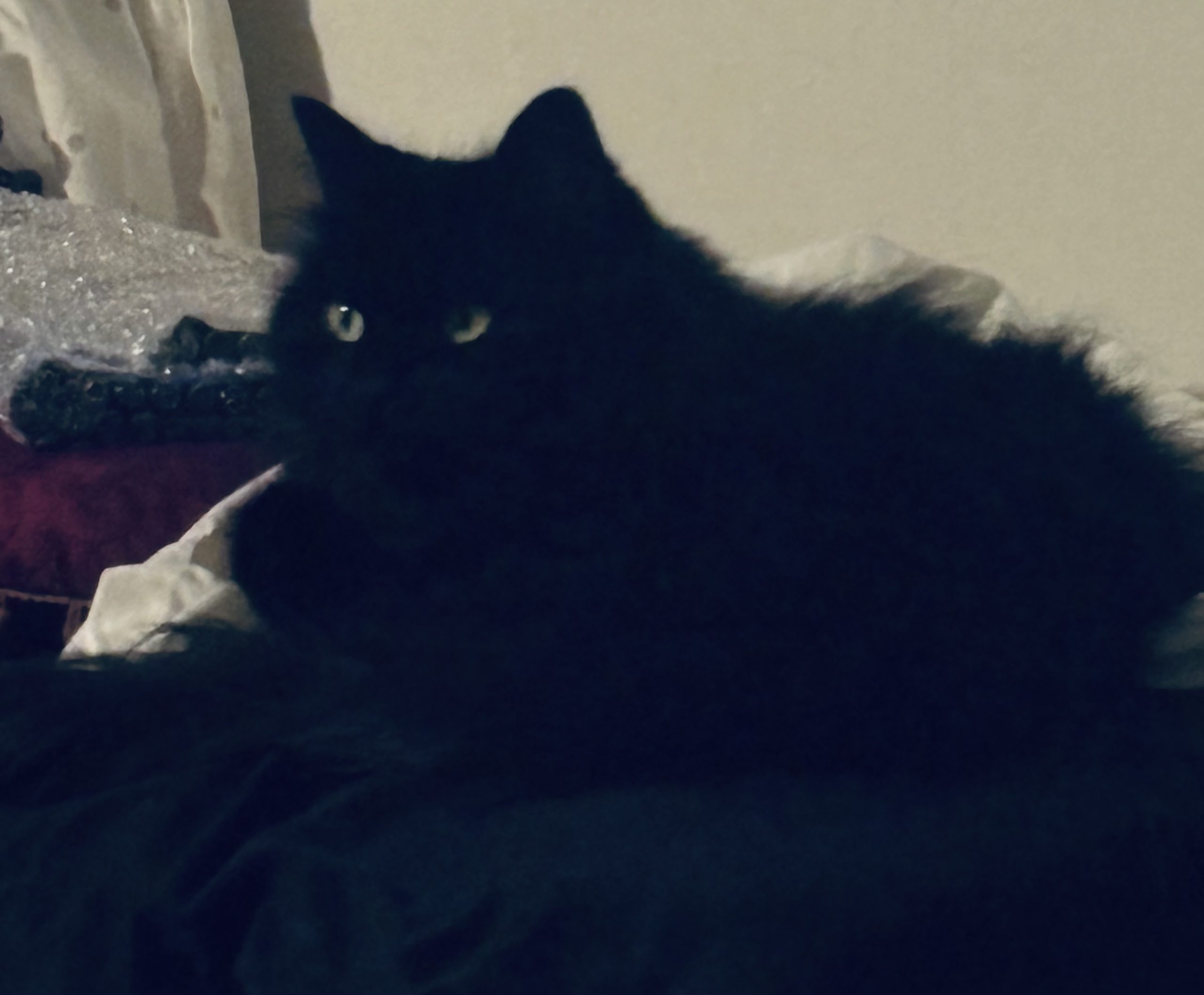 The Art of Doing Nothing (and Failing at It)