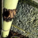 Follow the white rabbit, Neo.