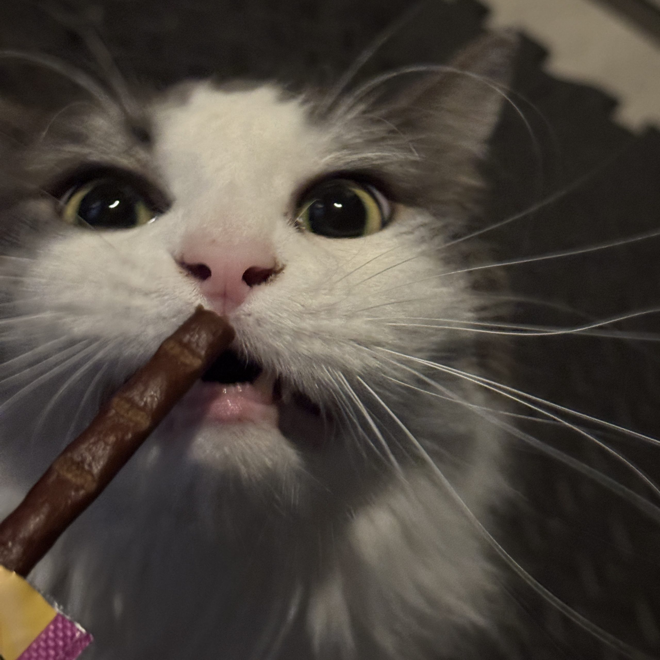 Winner winner chicken dinner.