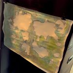 I Said Neville, Not Jung: