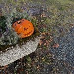 Optimism in a wet paper bag