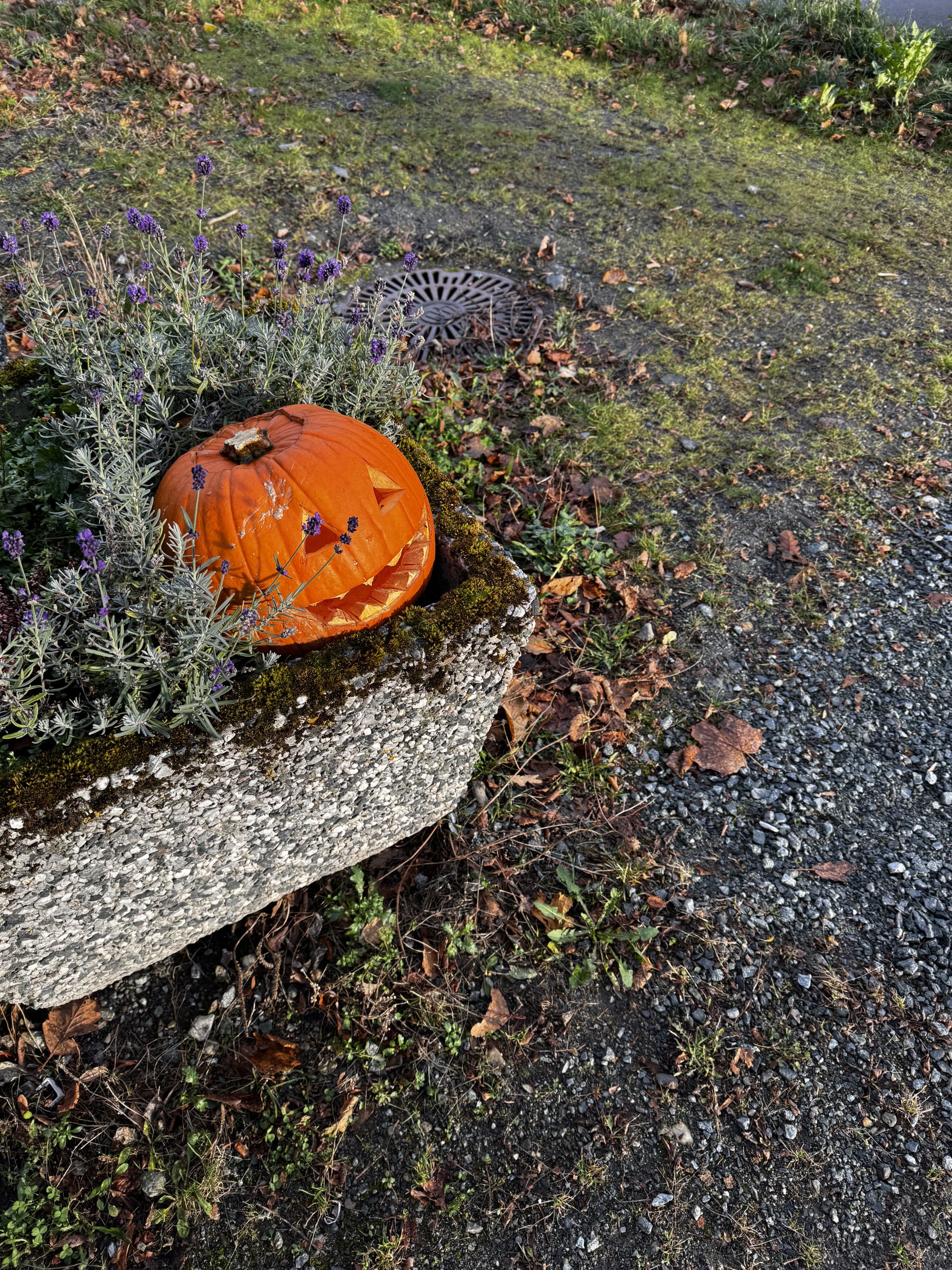 Optimism in a wet paper bag