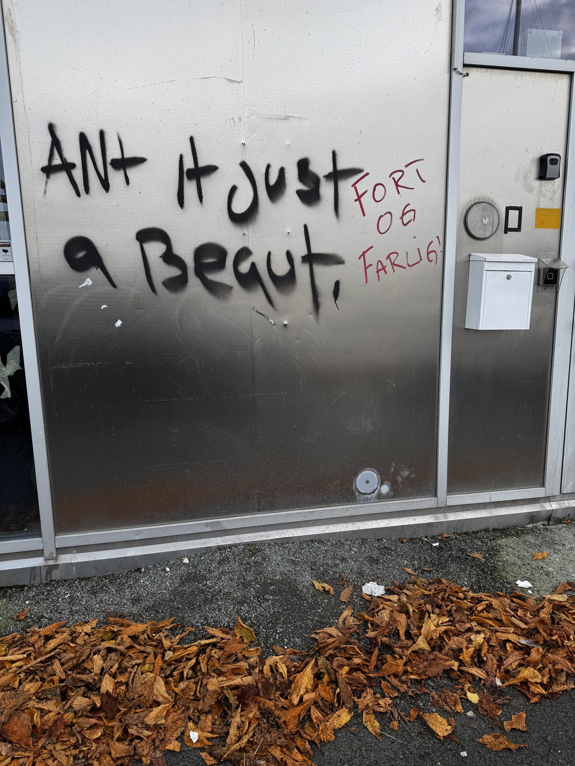 Chaotic Enlightenment