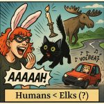 A Love Letter, A Cry for Help, and Several Existential Questions