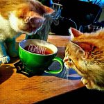 GEMINI — THE MESSENGER OF THE GODS