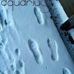 MAJOR ARCANA — AQUARIUS (20 Jan-18 Feb)