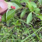 Did you make any choices