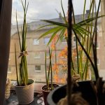 8 points for crying mid-sentence