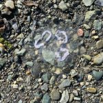 Insectile Whisper Coils