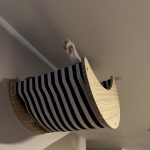 Belonging: The Fairytale