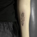 lopsided authorship problem pt.1